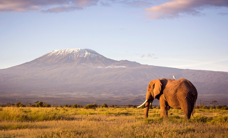 Parque Nacional de Kilimanjaro