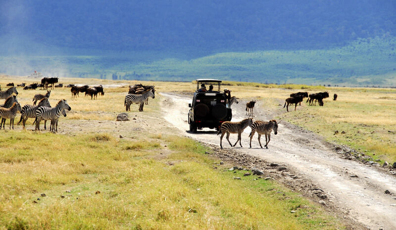 Área protegida de Ngorongoro