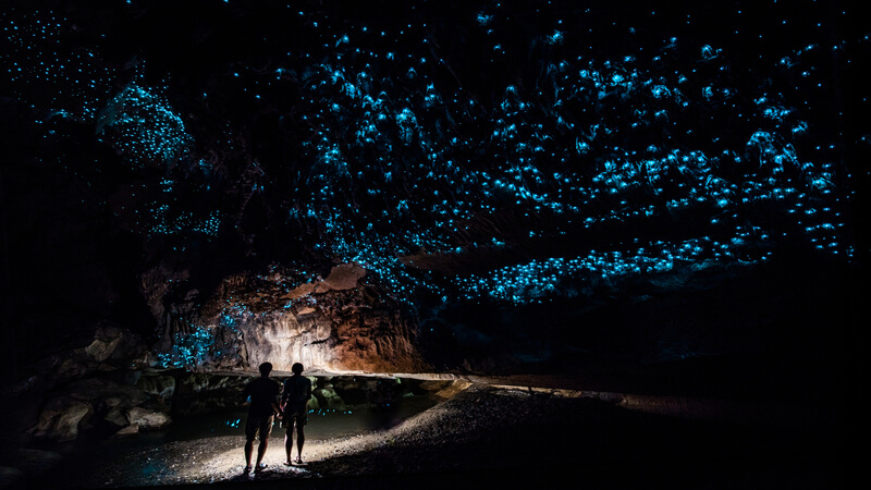 Waitomo Caves: tudo o que você precisa saber se planeja visitar o local