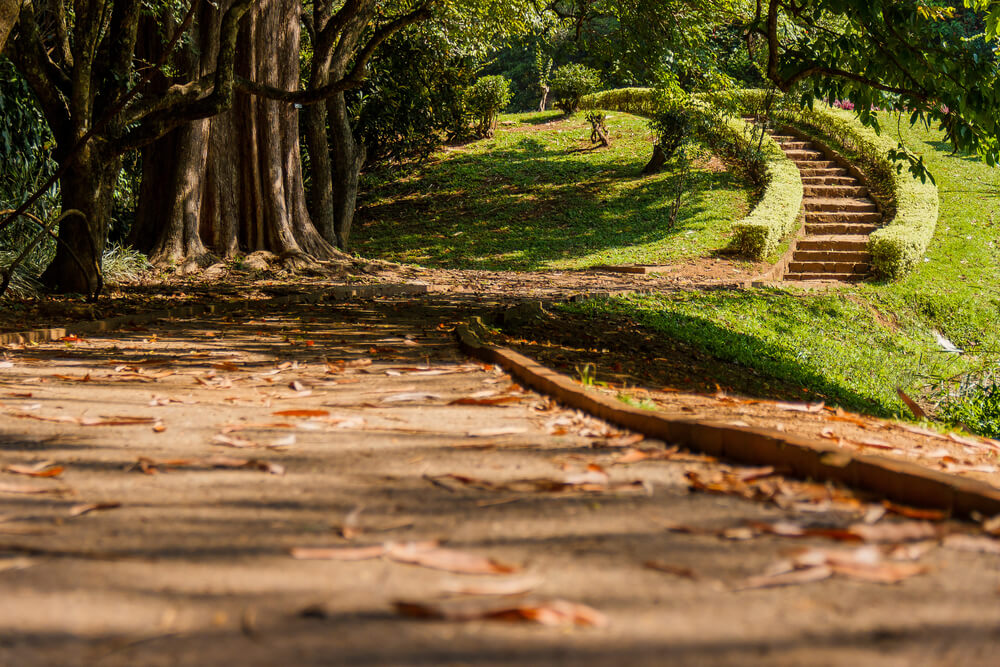 Jardim botânico de Peradeniya