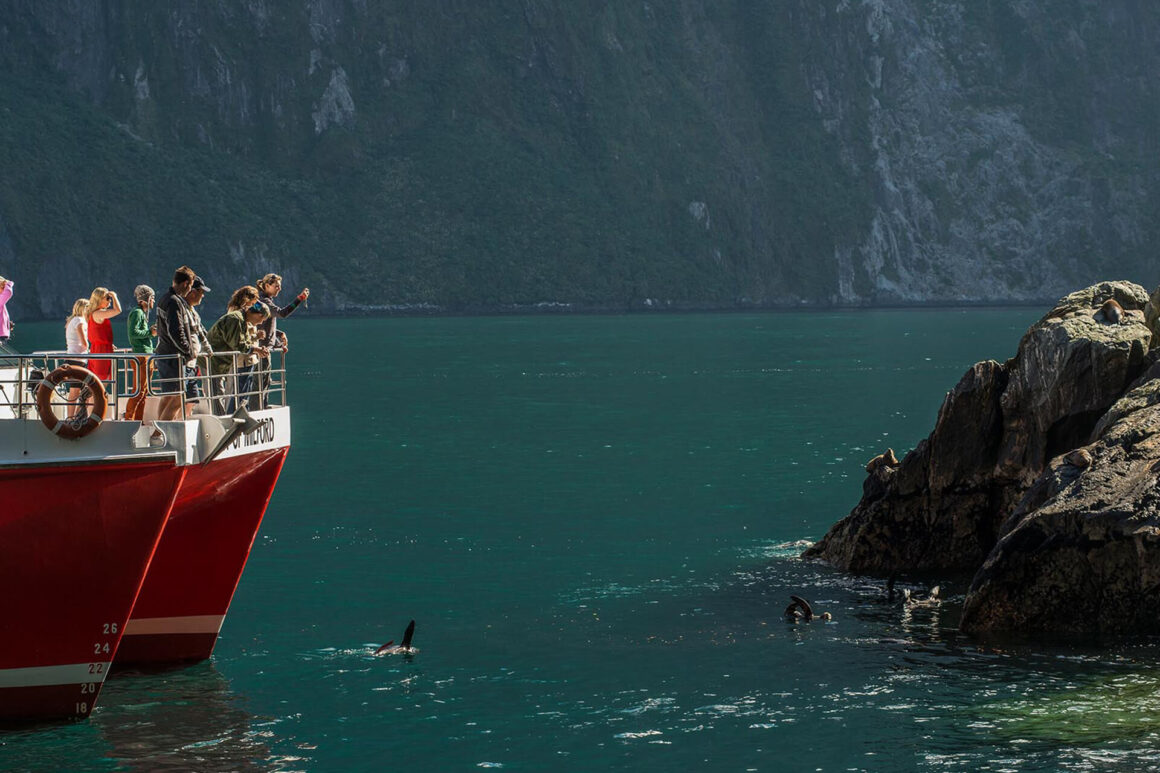 A vida marinha de Milford Sound