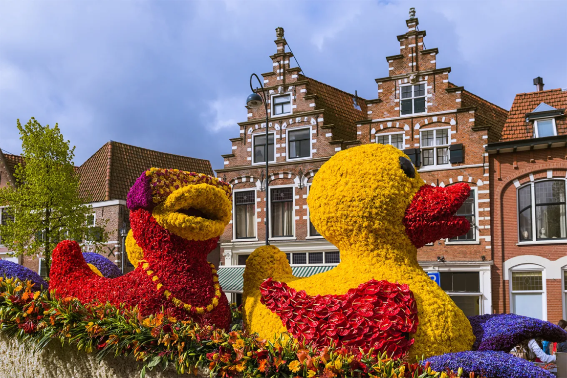 Carros alegóricos feitos de tulipas na Parada das Flores