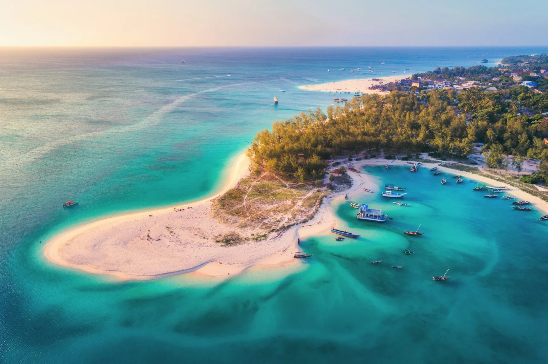 Tanzânia e Zanzibar: de safáris na savana a praias de areias brancas e águas cristalinas
