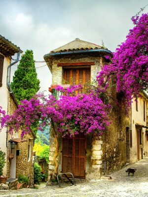 beautiful old town of Provence